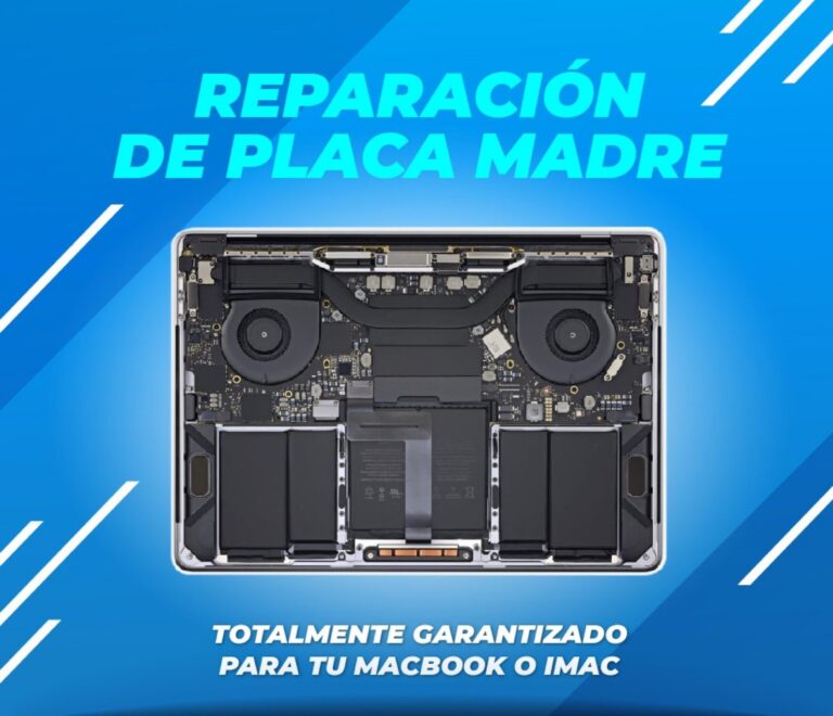 movil1006